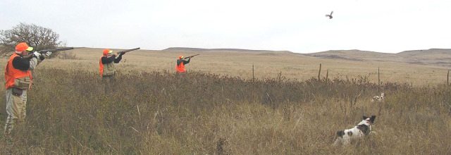 Hunting at Ringneck Ranch