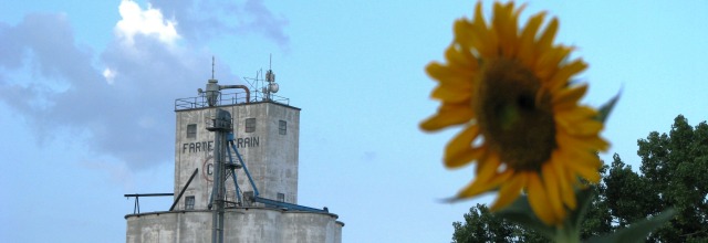 Garden view of Florence Coop