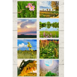 Prairie Peddler Notecards_Pack of 8