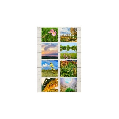 From the Seat of a Bike Notecards_8 pack