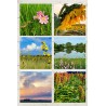 From the Seat of a Bike Notecards_6 pack