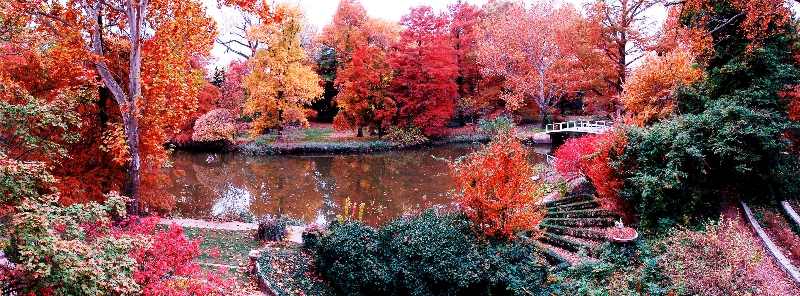 Scenic photo of arboretum in autumn