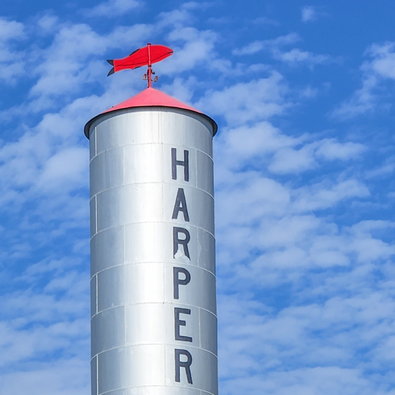 Checking on the weather, Harper