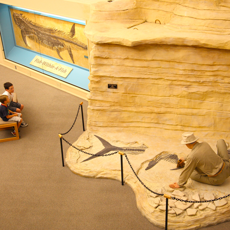 Sternberg Museum of Natural History, Hays